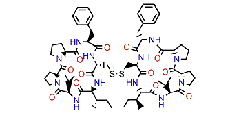 Antatollamide A
